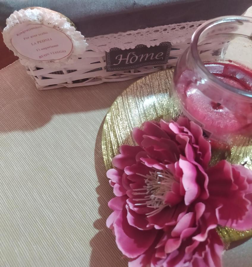 La Peonia Apartment Vitorchiano Ngoại thất bức ảnh